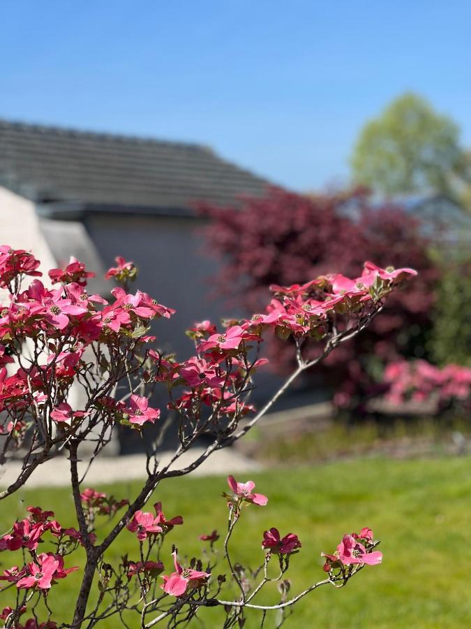 Ikigai B&B - Wellness Oud-Turnhout Luaran gambar