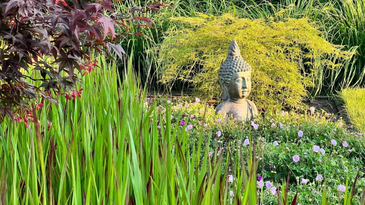 Ikigai B&B - Wellness Oud-Turnhout Luaran gambar