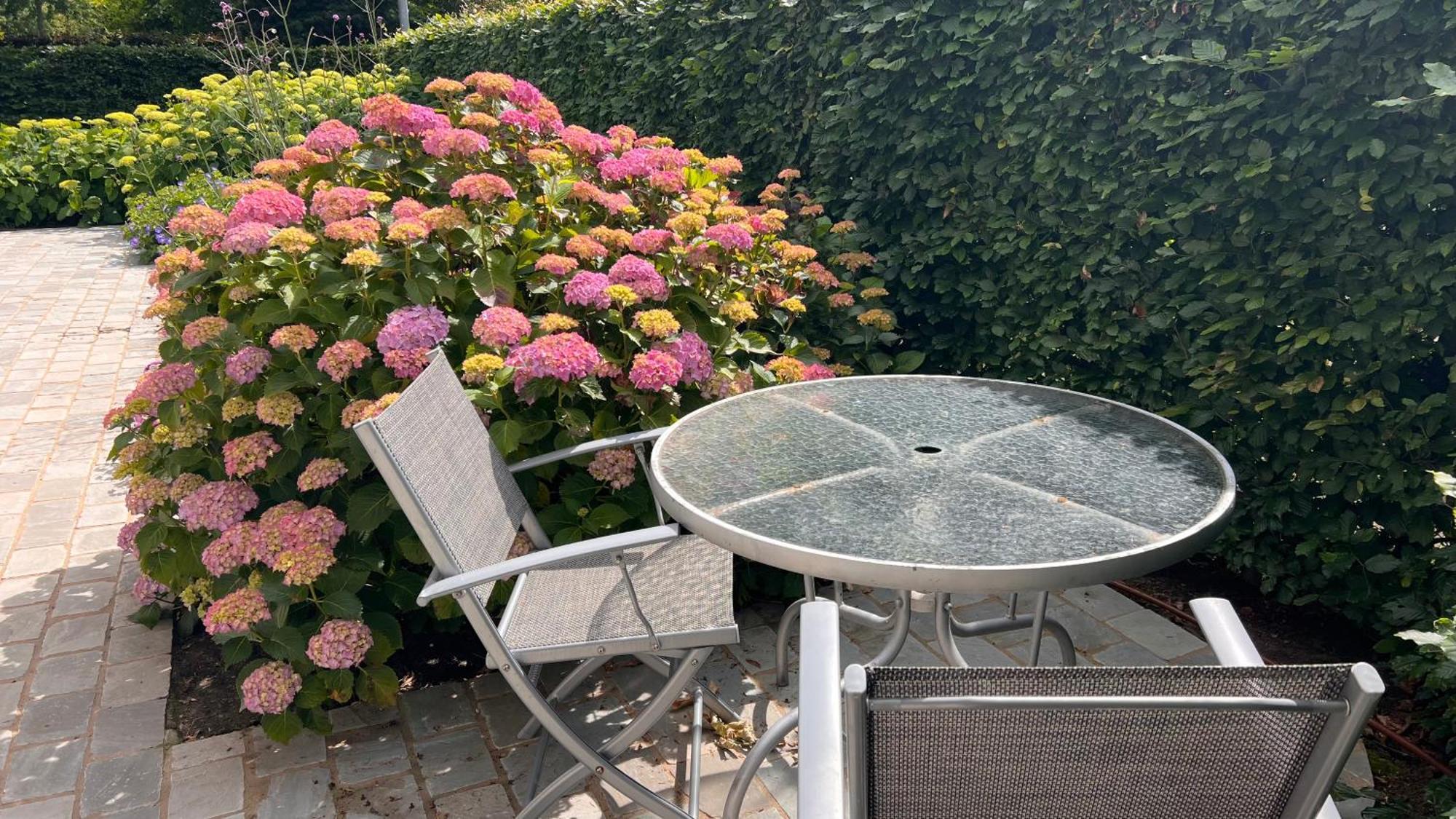 Ikigai B&B - Wellness Oud-Turnhout Luaran gambar