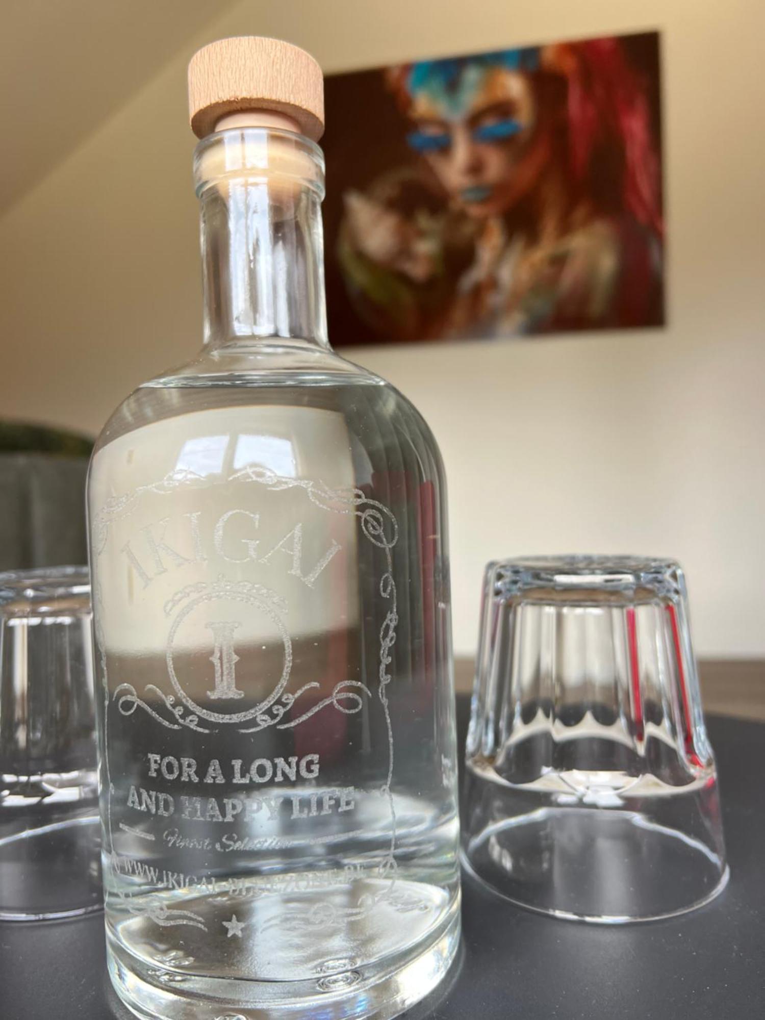 Ikigai B&B - Wellness Oud-Turnhout Luaran gambar