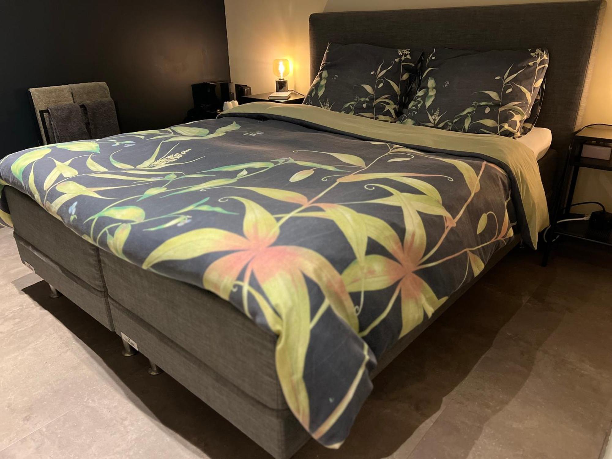 Ikigai B&B - Wellness Oud-Turnhout Luaran gambar